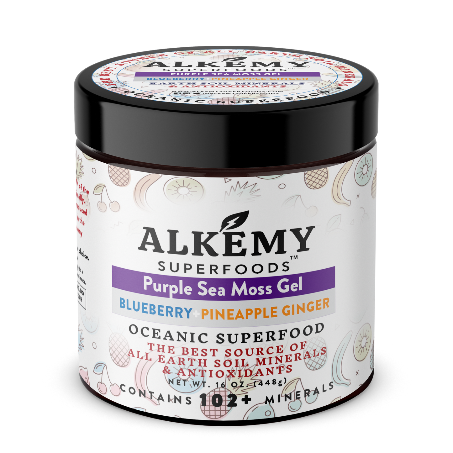 Purple Sea Moss Gel + Blueberry Pineapple & Ginger