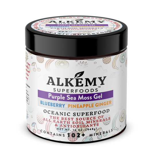 Purple Sea Moss Gel + Blueberry Pineapple & Ginger