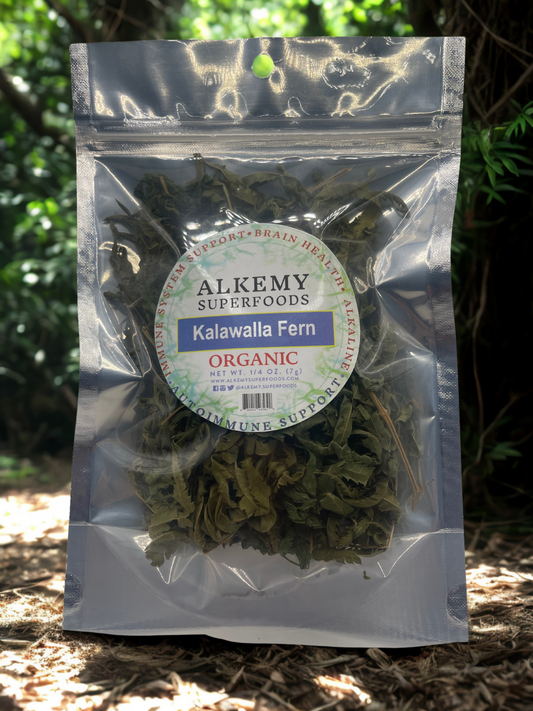 Kalawalla Fern